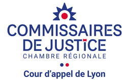 Logo CDJ Lyon MDM2023