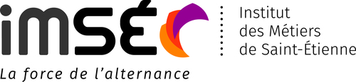 LOGO IMSE Baseline Signification CMJN